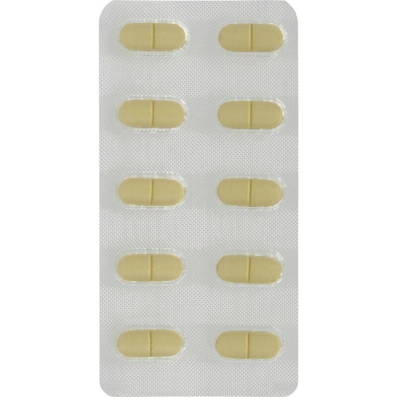 GINGOBETA 240 mg Filmtabletten
